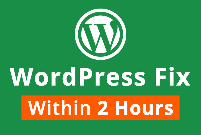 fix your wordpress website issue