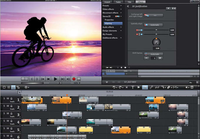 customize your VIDEOHIVE project