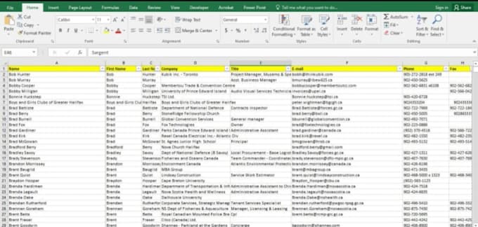 microsoft excel data entry
