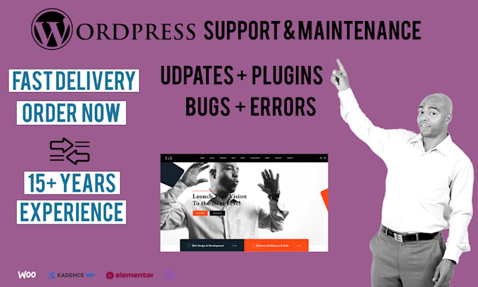 do monthly wordpress support, maintenance, plugin, themes, updates, security