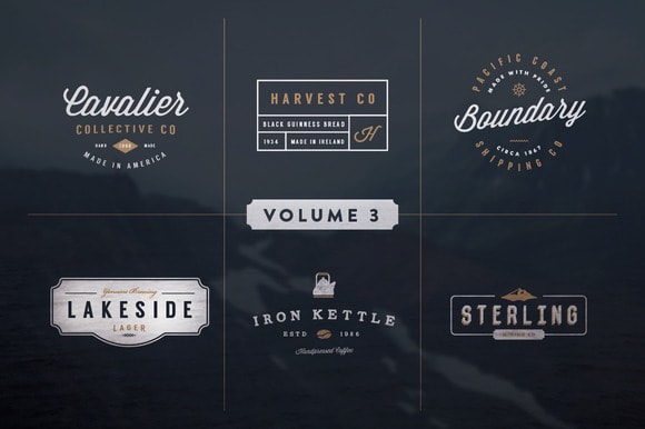 design a professional VINTAGE badge logo, 2000px