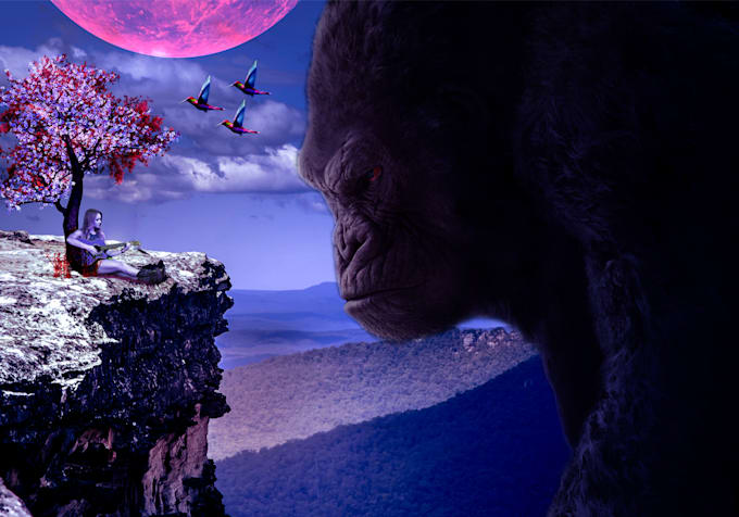 do professional photo manipulation