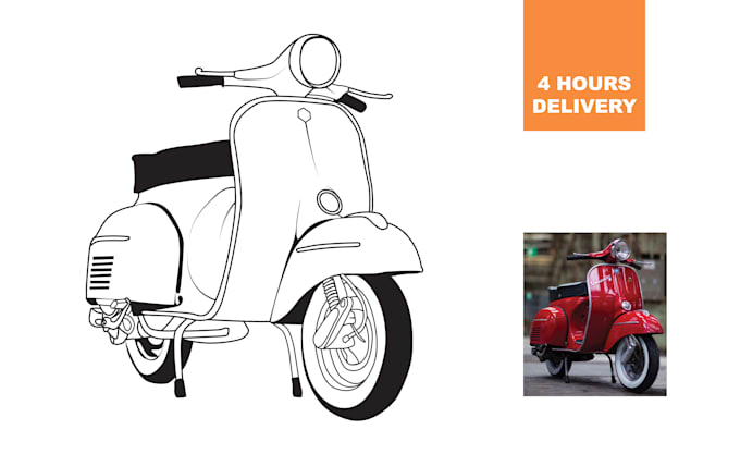 draw vector, line art illustrations