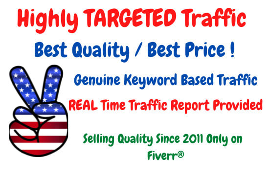 send your website high quality traffic from USA