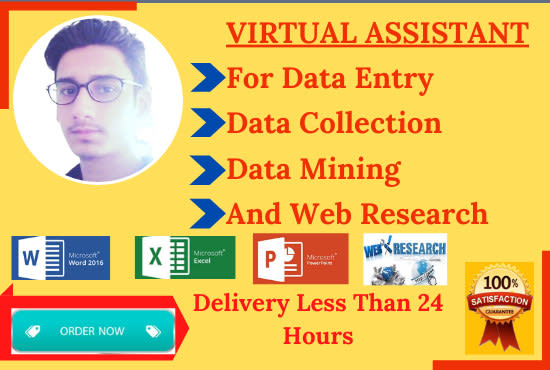 do data entry, copy paste, microsoft excel, virtual assistant, web search work