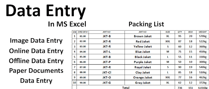 do make data entry sheets,roll up design, sign design,icon