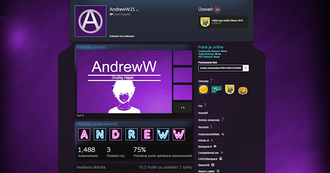 make a steam profile for you