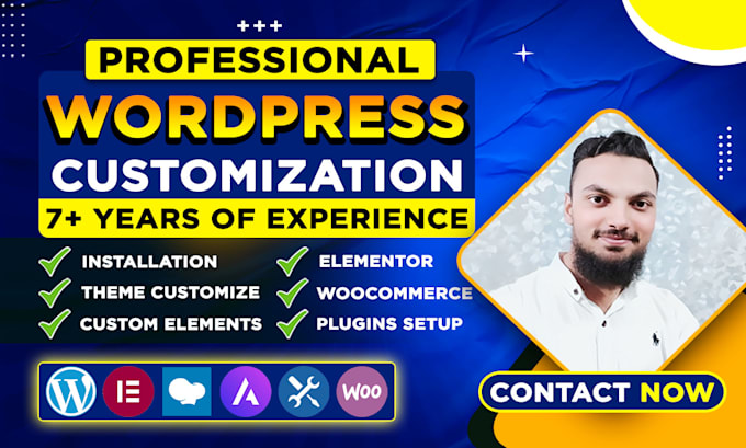 do wordpress customization, edit, fix or create your business website