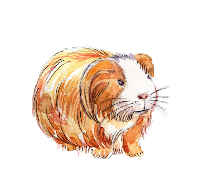 paint a cute pet portrait