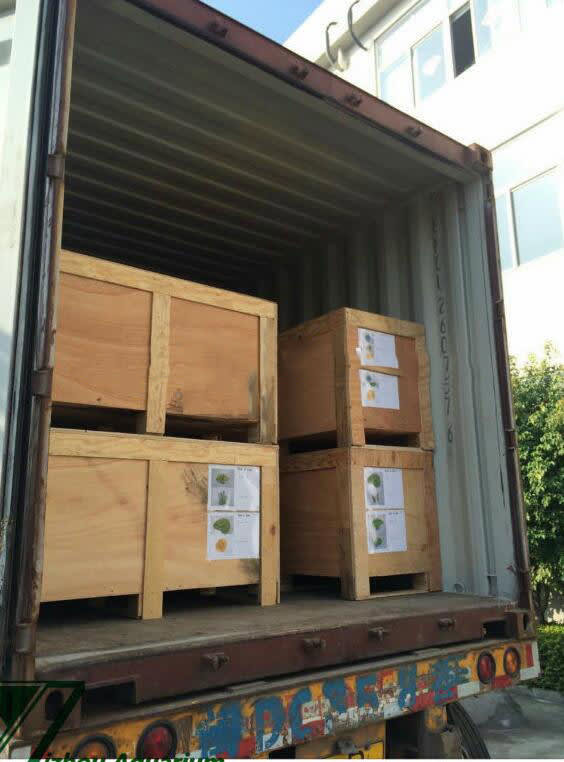 do china product supplier sourcing shipping agent