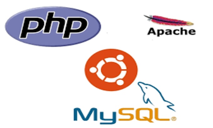 be your professional full stack php web developer