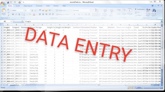 do excel data entry, copy paste, typing, data mining
