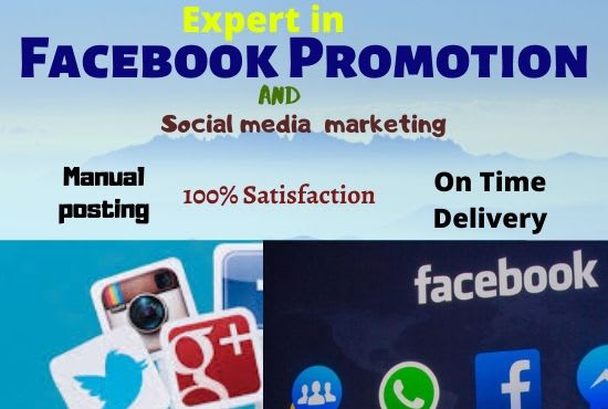 provide facebook marketing services for USA to promote