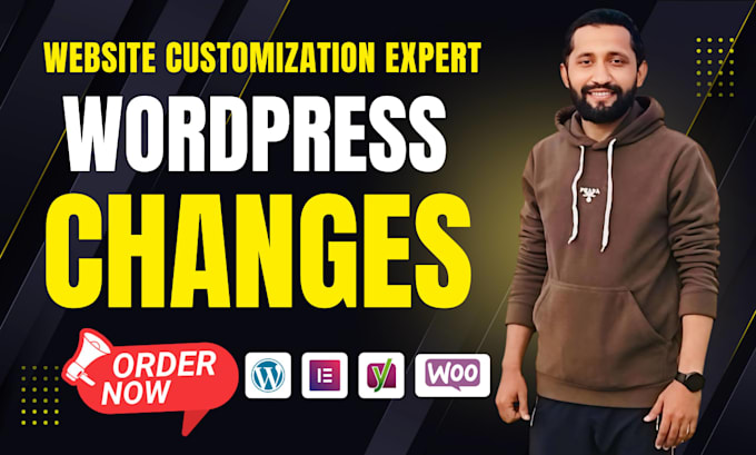 expertly edit or changes your wordpress website