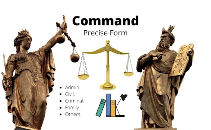 draft agreements, complaints, contracts, pleadings, suits, and writs of business