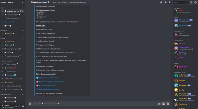 develop you a professional discord server