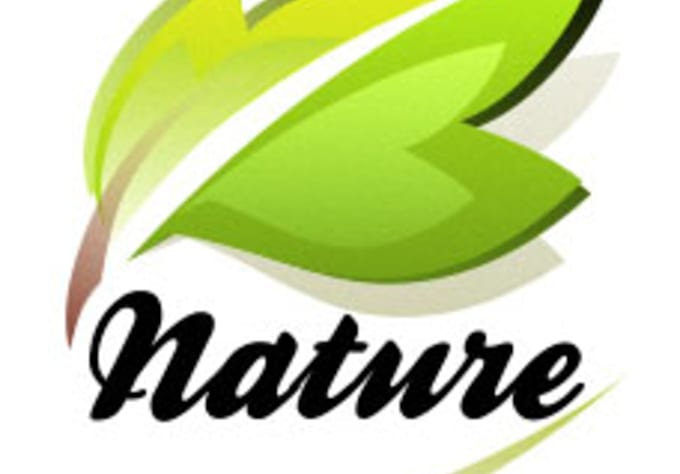 Download Free Design 2 Nice And Quality Logo Design For Your Business Company PSD Mockup Template