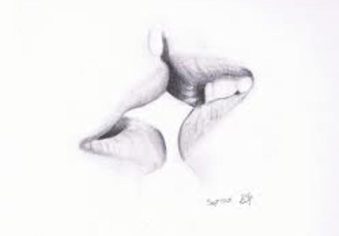 make you aware about the different types of kisses