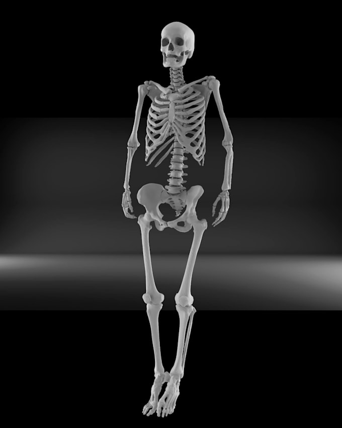 create medical 3d model from dicom, ct or mri images