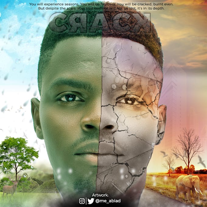 Will create. вордпресс. There are птица. How to basic creator. Shopify store design.