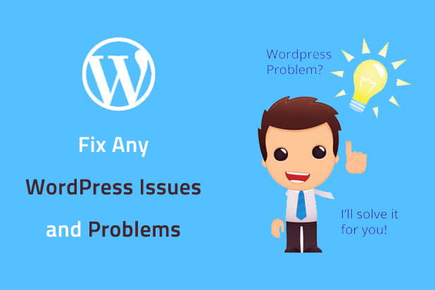 fix wordpress website issues errors bugs