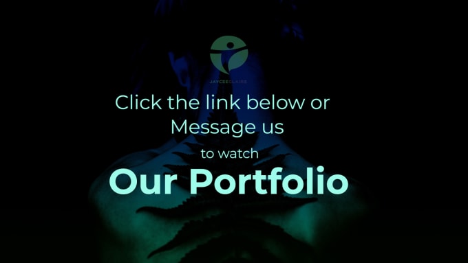 make a professional music video ll within 72 hours