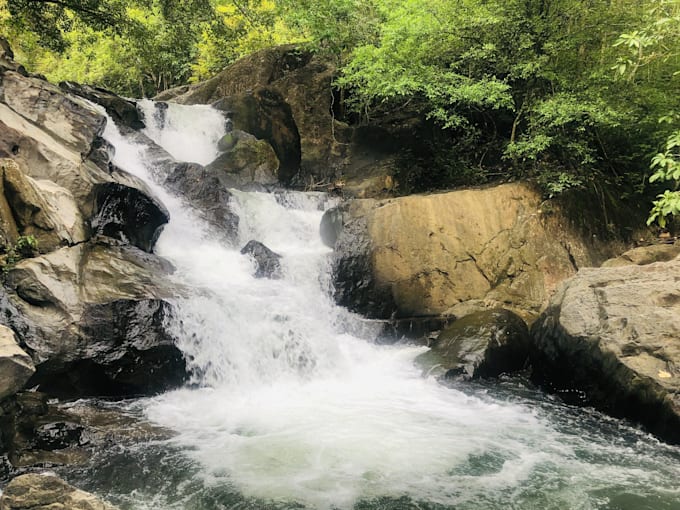 send natural place video and images