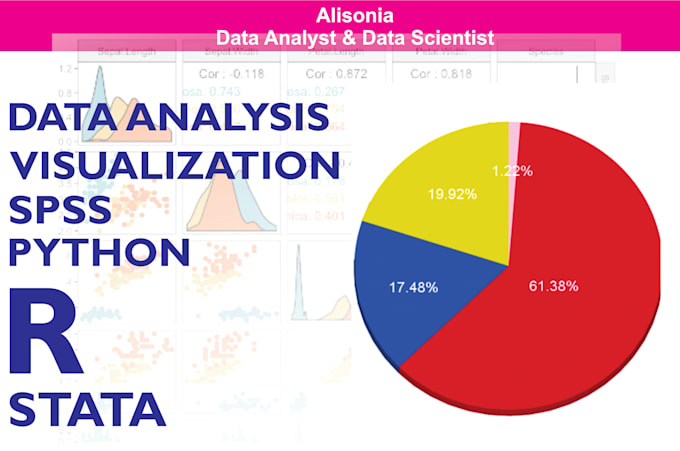 Do statistical data analysis with spss, excel, r and stata by ...