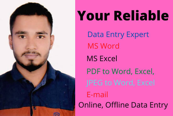 do data entry expert ,ms word, ms excel, PDF to word convert
