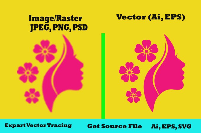 do vector tracing convert to vector redraw logo in 24 hour