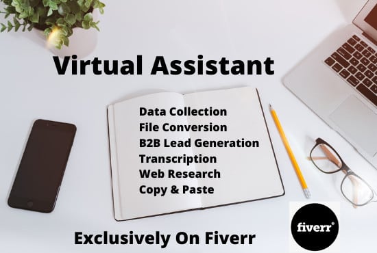 do data entry, web research, and admin support as your virtual assistant