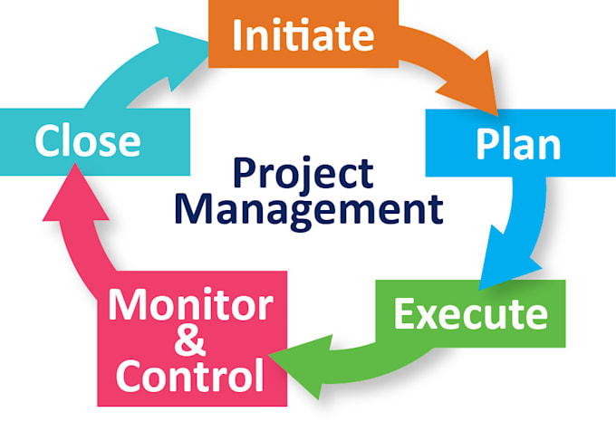 outsourced remote project manager
