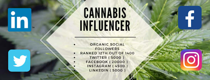 be your cannabis influencer