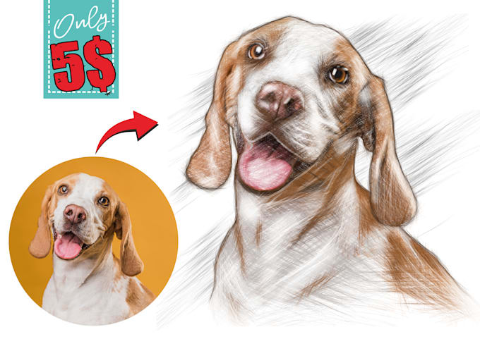 amazing sketch your pet with my style and high file quality