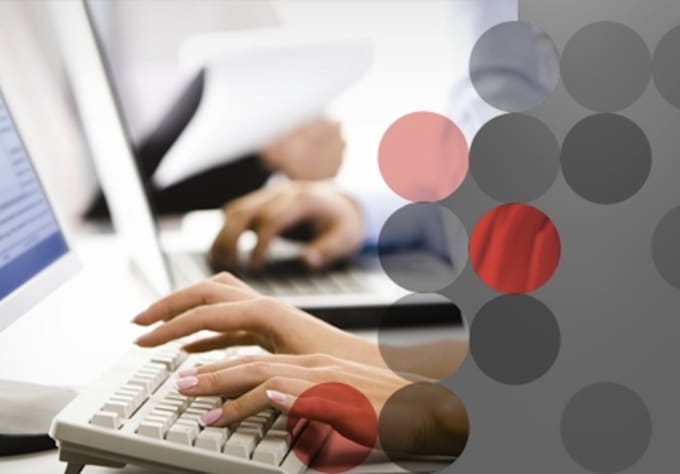 do Accurate, Speed, Professional Data Entry work