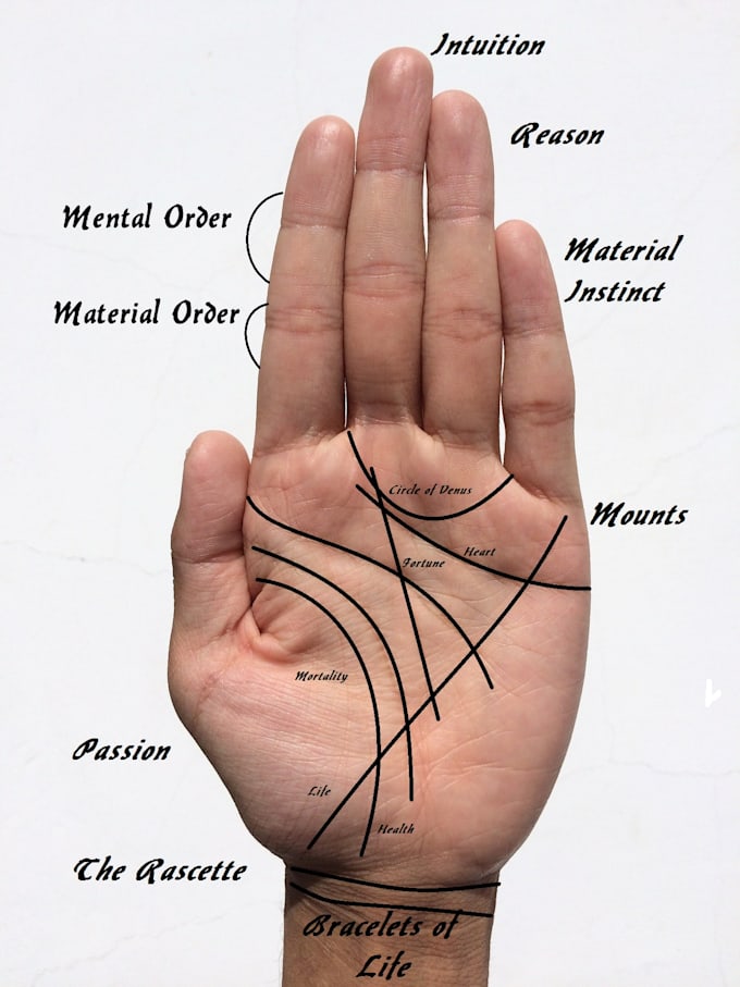 Read Your Palm Thoroughly By Pampamhk