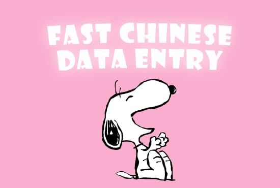 do fast chinese data entry