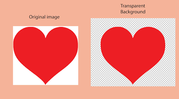Create Transparent Background For Any Photo By Shopboxco Fiverr Create Transparent Background For Any Photo By Shopboxco Fiverr