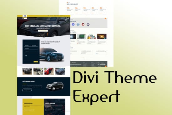 build custom wordpress website