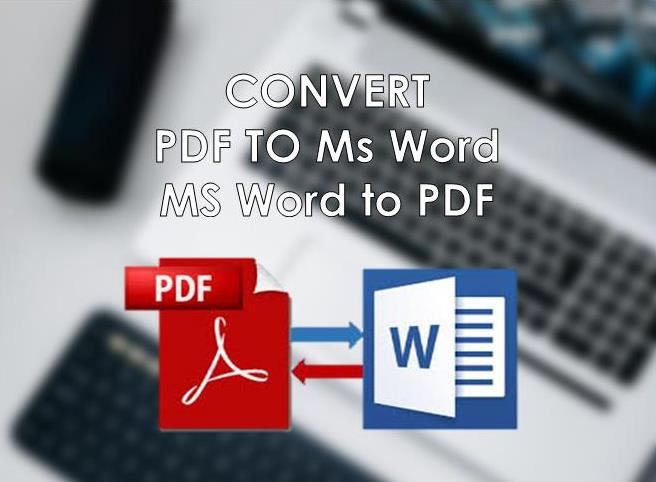 convert PDF to ms word