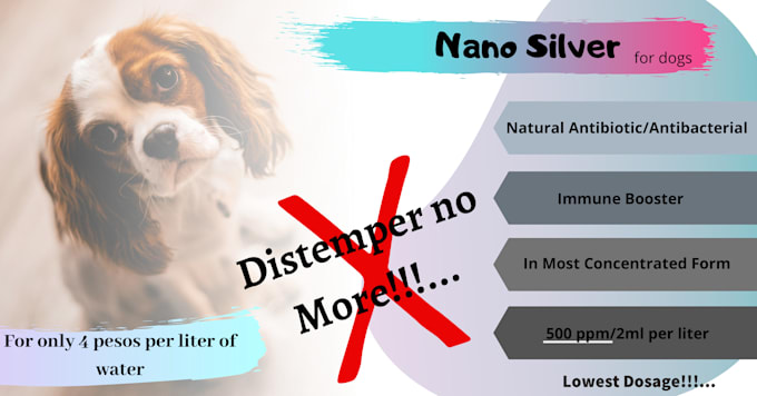 dosage of nano silver for dogs