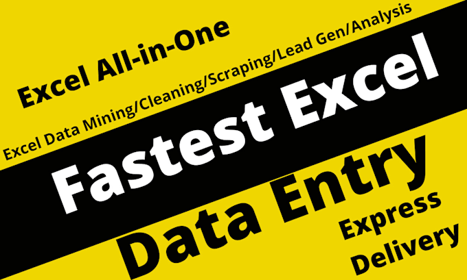 do fastest and accurate data entry microsoft excel expert VA pa