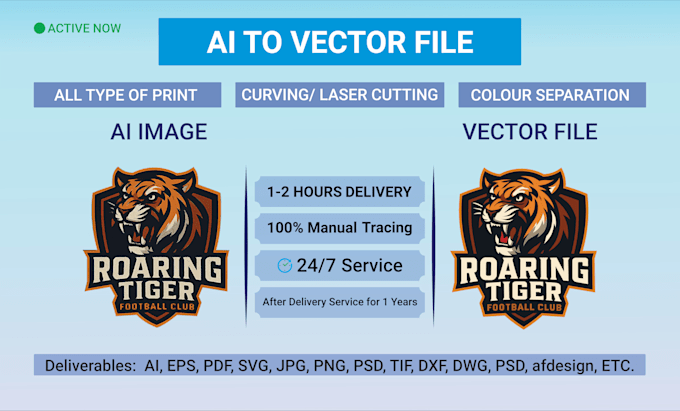 convert ai design to vector, redraw manually for print