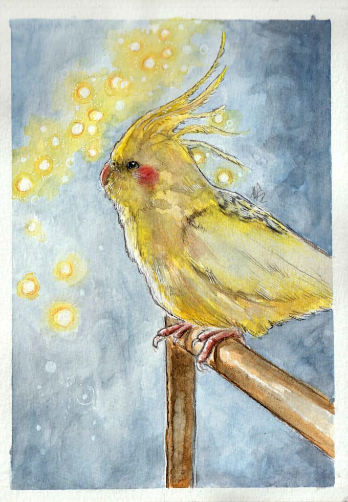 draw cute birds in watercolors