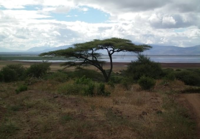 answer 10 questions about Tanzania