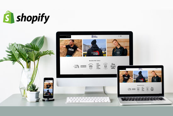 design website in shopify builder