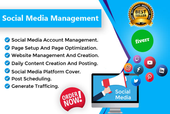 be your social media virtual assistant fb ig tiktok