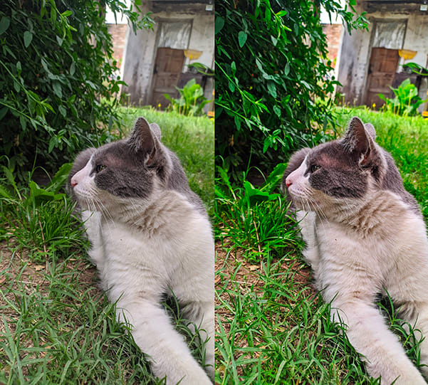 Improve Image Quality In Photoshop By Mariano443 Fiverr