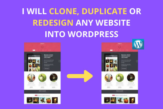 design, redesign or rebuild any website in wordpress