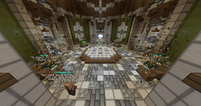 make you professional minecraft server